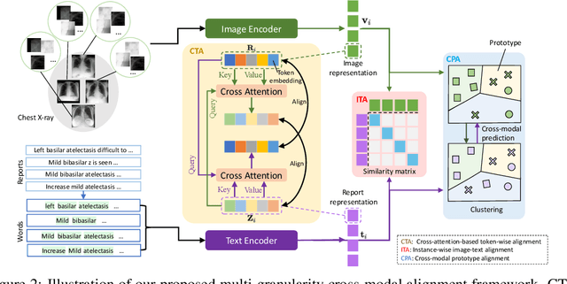 Figure 3 for Multi-Granularity Cross-modal Alignment for Generalized Medical Visual Representation Learning