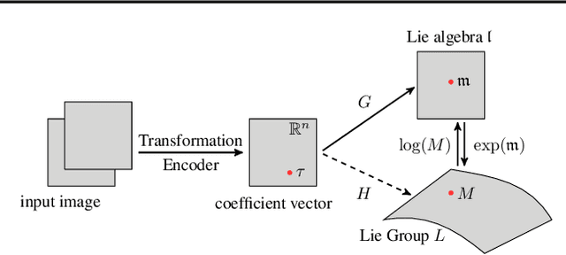 Figure 1 for Invariance-based Multi-Clustering of Latent Space Embeddings for Equivariant Learning