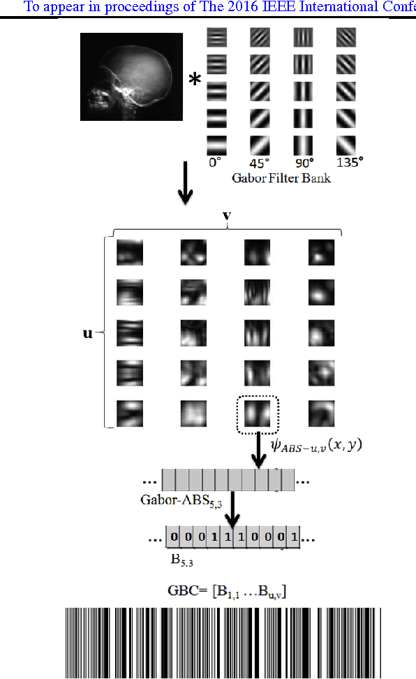 Figure 3 for Gabor Barcodes for Medical Image Retrieval