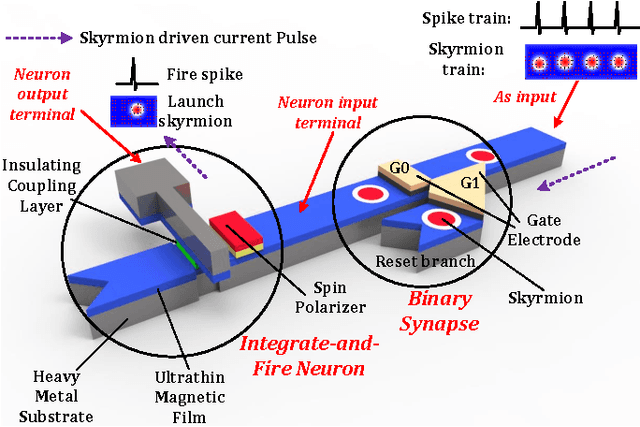 Figure 1 for Developing All-Skyrmion Spiking Neural Network