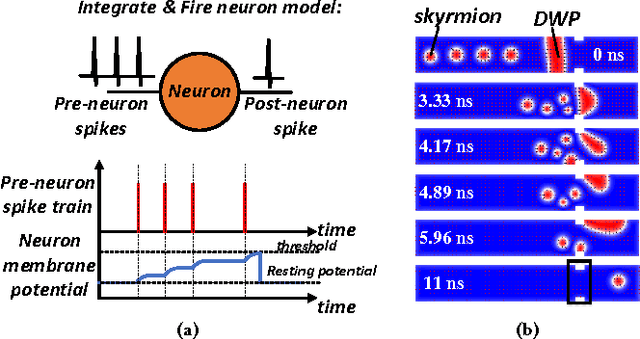 Figure 2 for Developing All-Skyrmion Spiking Neural Network