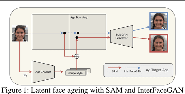 Figure 1 for Time flies by: Analyzing the Impact of Face Ageing on the Recognition Performance with Synthetic Data