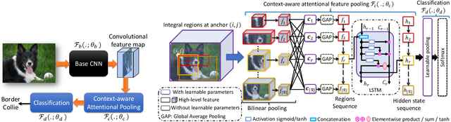 Figure 1 for Context-aware Attentional Pooling (CAP) for Fine-grained Visual Classification
