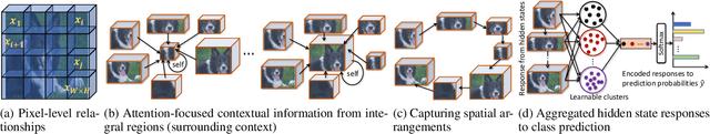 Figure 3 for Context-aware Attentional Pooling (CAP) for Fine-grained Visual Classification