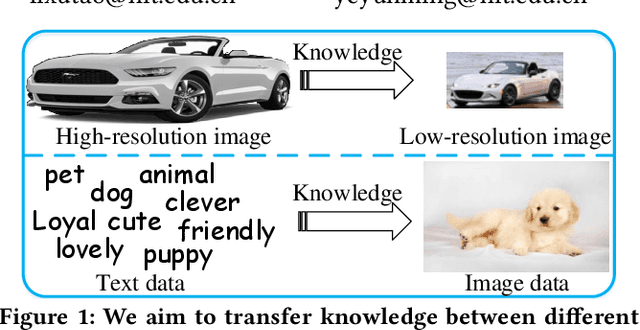 Figure 1 for Heterogeneous Domain Adaptation via Soft Transfer Network