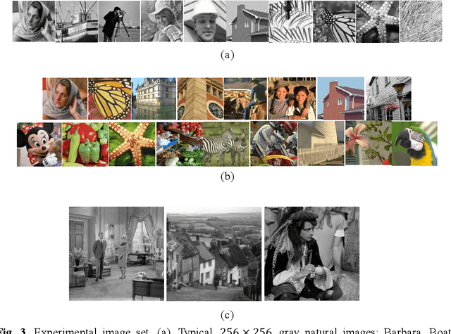 Figure 4 for Generalized Rank Minimization based Group Sparse Coding for Low-level Image Restoration via Dictionary Learning