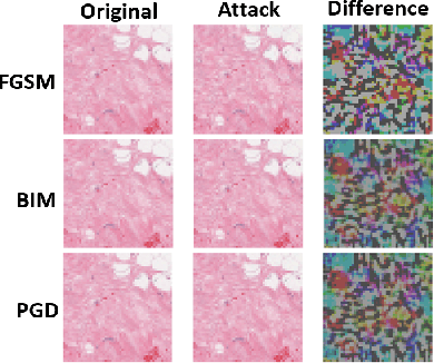 Figure 3 for Deep Learning Defenses Against Adversarial Examples for Dynamic Risk Assessment