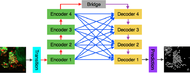 Figure 2 for Neuron Segmentation Using Deep Complete Bipartite Networks
