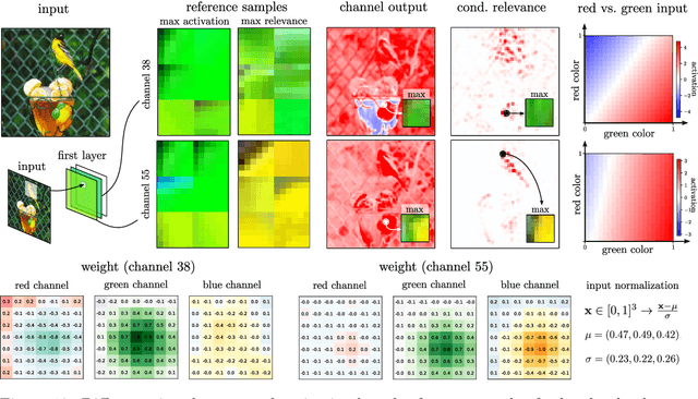 Figure 3 for From "Where" to "What": Towards Human-Understandable Explanations through Concept Relevance Propagation