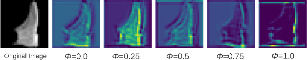 Figure 4 for Server-Side Local Gradient Averaging and Learning Rate Acceleration for Scalable Split Learning