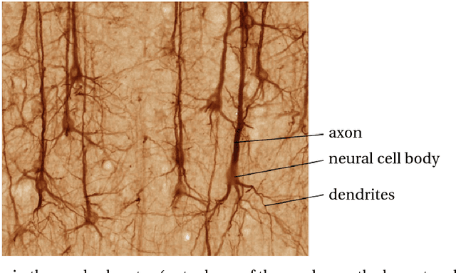 Figure 1 for Artificial Neural Networks