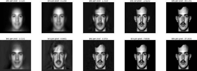 Figure 2 for Principal Bit Analysis: Autoencoding with Schur-Concave Loss
