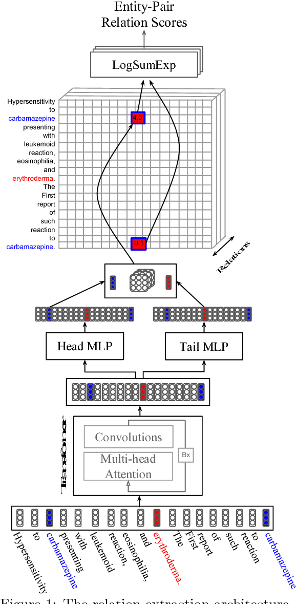 Figure 1 for Simultaneously Self-Attending to All Mentions for Full-Abstract Biological Relation Extraction