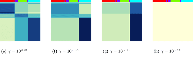 Figure 3 for Convex Biclustering