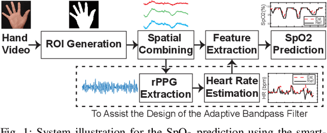 Figure 1 for A Multi-Channel Ratio-of-Ratios Method for Noncontact Hand Video Based SpO2 Monitoring Using Smartphone Cameras