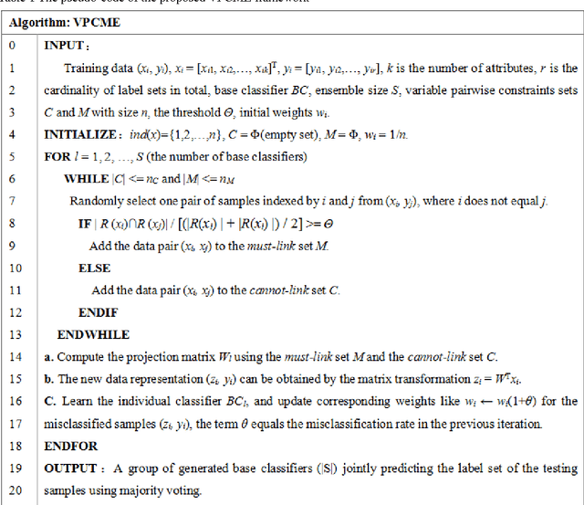 Figure 1 for Multi-label ensemble based on variable pairwise constraint projection