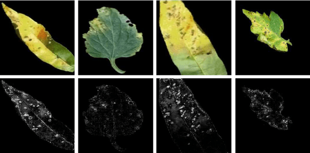 Figure 1 for PANDA : Perceptually Aware Neural Detection of Anomalies