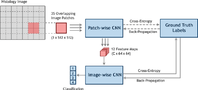 Figure 1 for Two-Stage Convolutional Neural Network for Breast Cancer Histology Image Classification