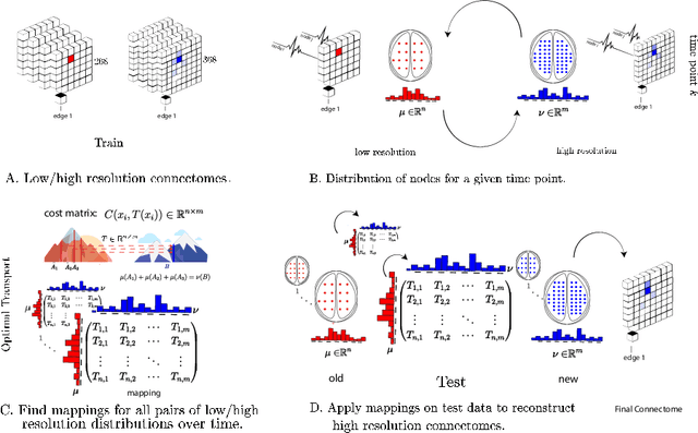 Figure 1 for Data-driven mapping between functional connectomes using optimal transport