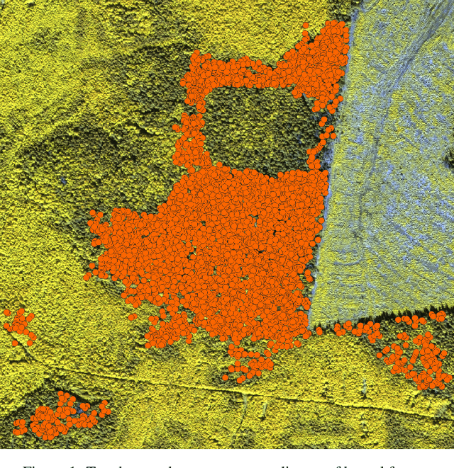 Figure 1 for Automated Remote Sensing Forest Inventory Using Satellite Imagery
