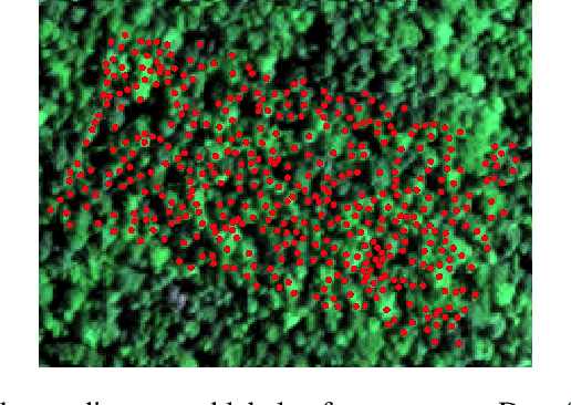 Figure 3 for Automated Remote Sensing Forest Inventory Using Satellite Imagery