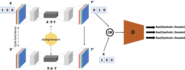 Figure 3 for CIT-GAN: Cyclic Image Translation Generative Adversarial Network With Application in Iris Presentation Attack Detection