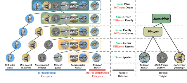 Figure 3 for Clue Me In: Semi-Supervised FGVC with Out-of-Distribution Data