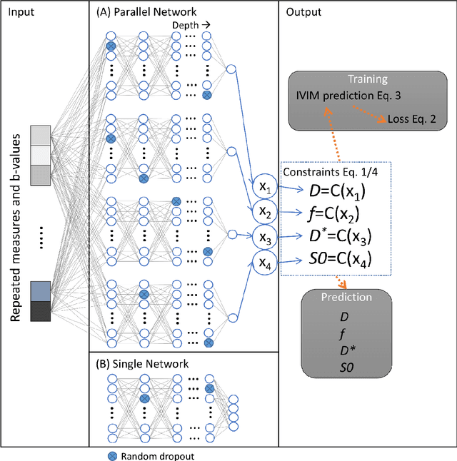 Figure 2 for Improved unsupervised physics-informed deep learning for intravoxel-incoherent motion modeling and evaluation in pancreatic cancer patients