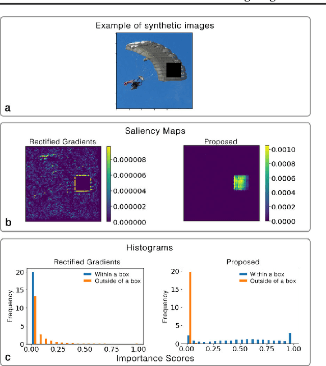 Figure 1 for Removing Brightness Bias in Rectified Gradients