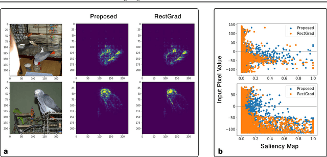 Figure 3 for Removing Brightness Bias in Rectified Gradients