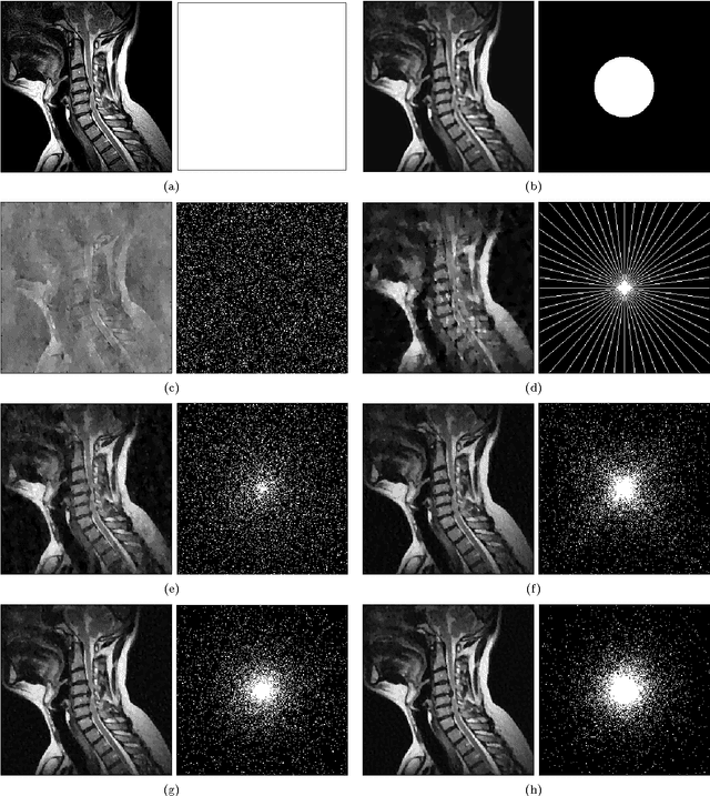 Figure 1 for Stable and robust sampling strategies for compressive imaging
