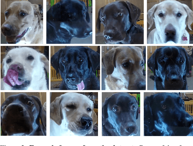 Figure 3 for Deep Learning Models for Automated Classification of Dog Emotional States from Facial Expressions