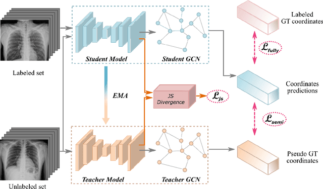 Figure 1 for Scalable Semi-supervised Landmark Localization for X-ray Images using Few-shot Deep Adaptive Graph
