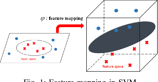 Figure 1 for Fast Polynomial Kernel Classification for Massive Data