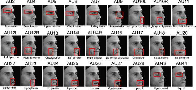 Figure 2 for Linear Disentangled Representation Learning for Facial Actions
