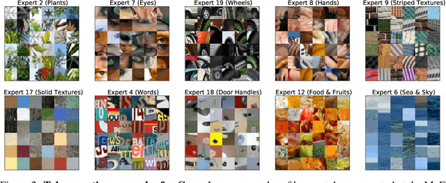 Figure 3 for Multimodal Contrastive Learning with LIMoE: the Language-Image Mixture of Experts