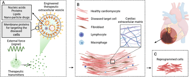 Figure 1 for The End-to-End Molecular Communication Model of Extracellular Vesicle-based Drug Delivery