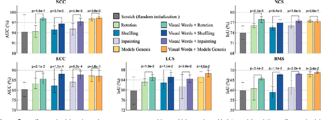 Figure 3 for Transferable Visual Words: Exploiting the Semantics of Anatomical Patterns for Self-supervised Learning