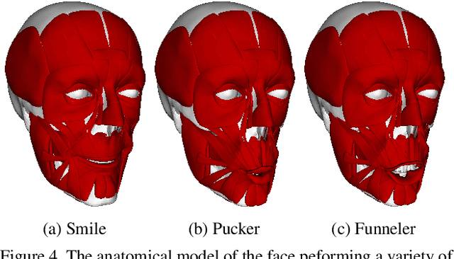 Figure 4 for High-Quality Face Capture Using Anatomical Muscles