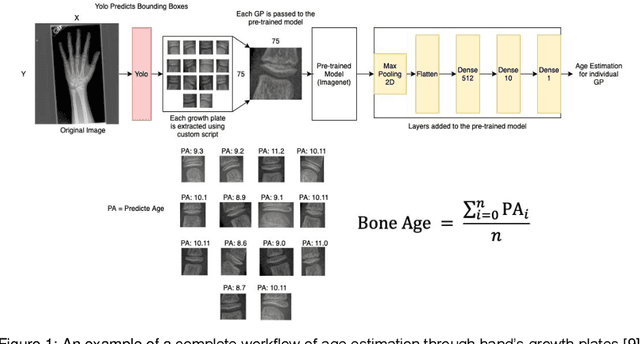 Figure 1 for Mini-DDSM: Mammography-based Automatic Age Estimation