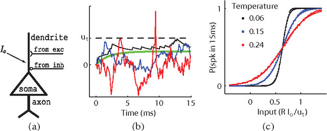 Figure 2 for The thermodynamic temperature of a rhythmic spiking network
