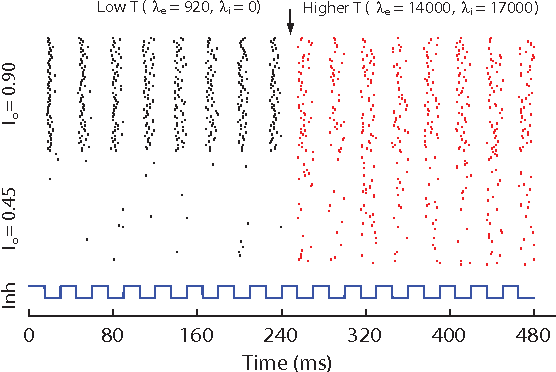 Figure 3 for The thermodynamic temperature of a rhythmic spiking network