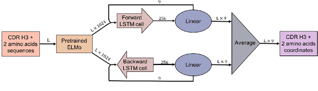 Figure 1 for Simple End-to-end Deep Learning Model for CDR-H3 Loop Structure Prediction