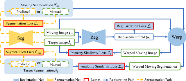 Figure 1 for DeepAtlas: Joint Semi-Supervised Learning of Image Registration and Segmentation