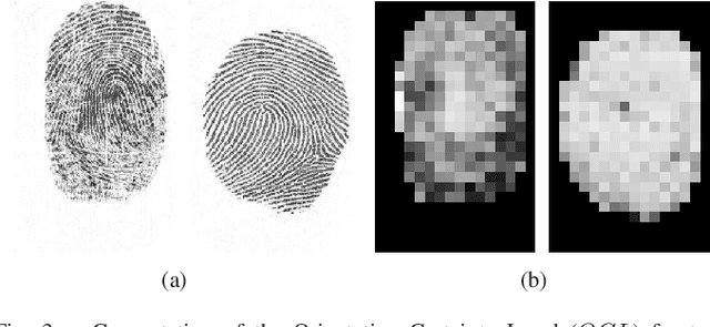 Figure 3 for Fingerprint Liveness Detection Based on Quality Measures