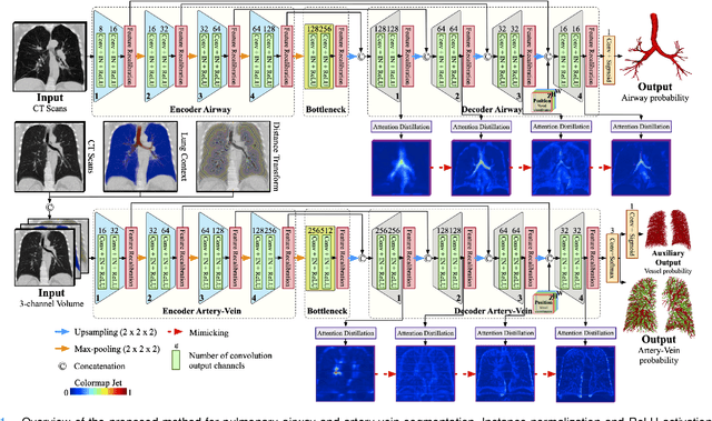 Figure 1 for Learning Tubule-Sensitive CNNs for Pulmonary Airway and Artery-Vein Segmentation in CT