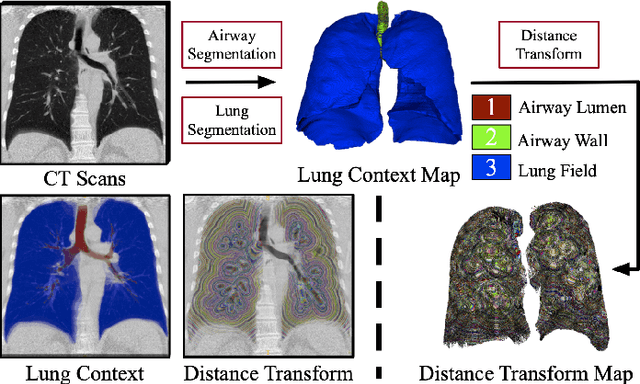 Figure 4 for Learning Tubule-Sensitive CNNs for Pulmonary Airway and Artery-Vein Segmentation in CT