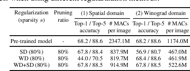 Figure 2 for Jointly Sparse Convolutional Neural Networks in Dual Spatial-Winograd Domains