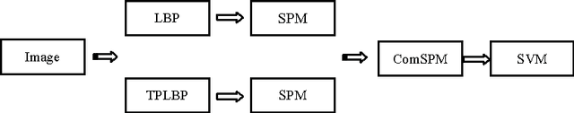 Figure 4 for Combined Descriptors in Spatial Pyramid Domain for Image Classification