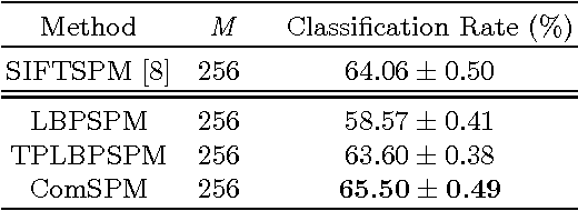 Figure 3 for Combined Descriptors in Spatial Pyramid Domain for Image Classification